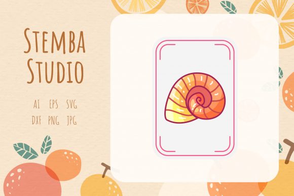 Vector Shell Card Illustration Design: A Practical Review for Real Projects